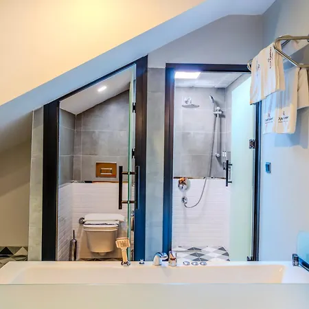 Atar Airport - Restaurant & Wellness Hotel Arnavutkoy